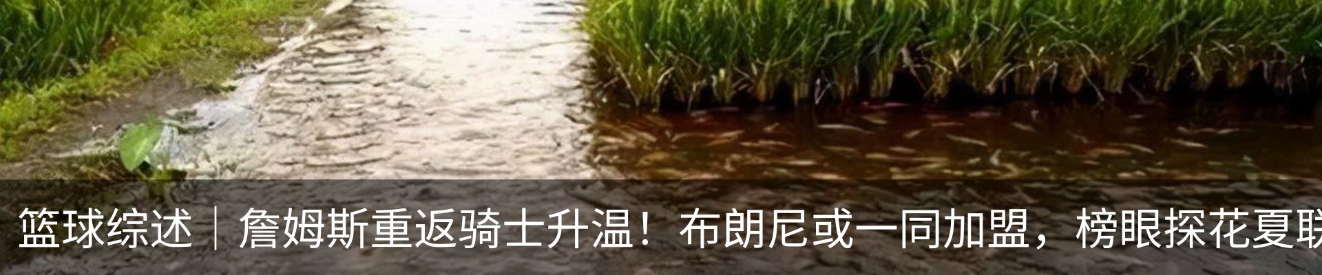 资讯中心