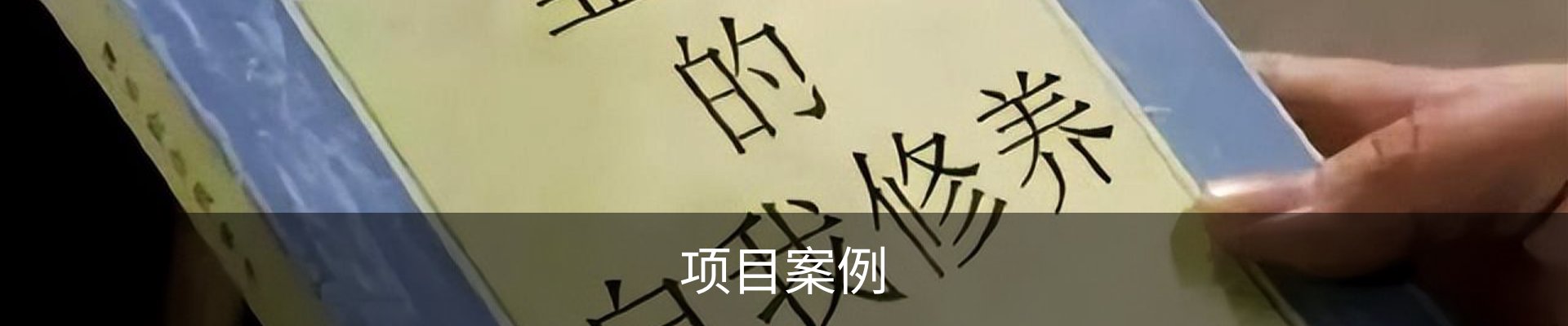 项目案例